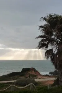 Surf no Algarve: Melhores Spots, Escolas e Guia Completo [2026]