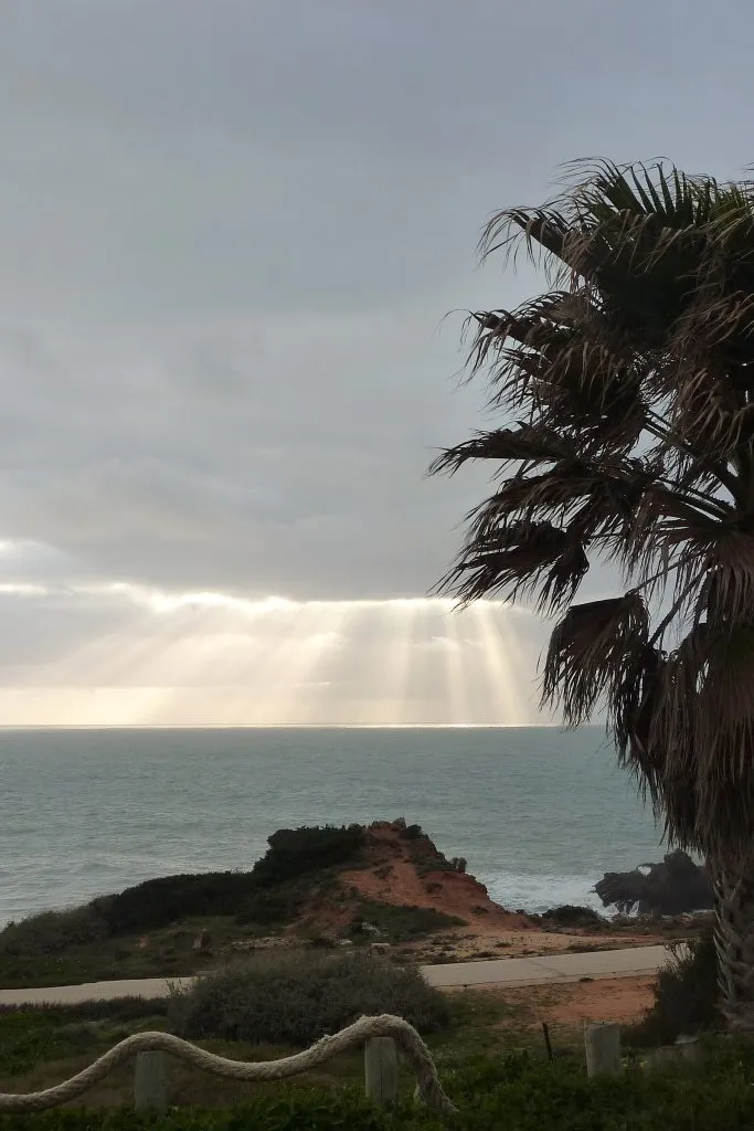 Surf no Algarve: Melhores Spots, Escolas e Guia Completo [2026]