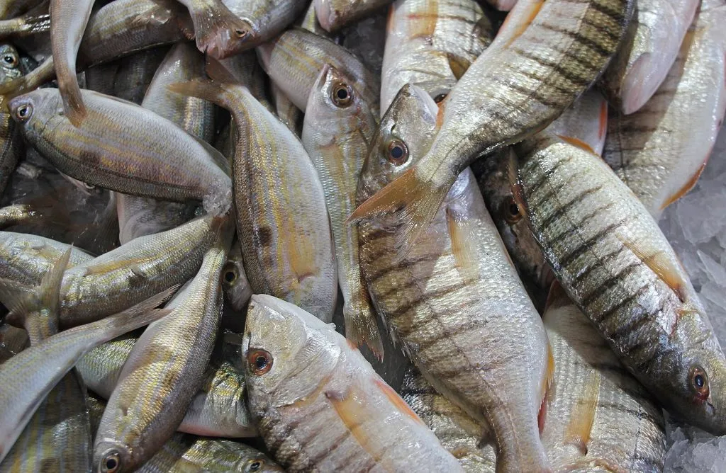 Quanto Custa uma Viagem ao Algarve: Guia de Preços e Orçamento [2026]