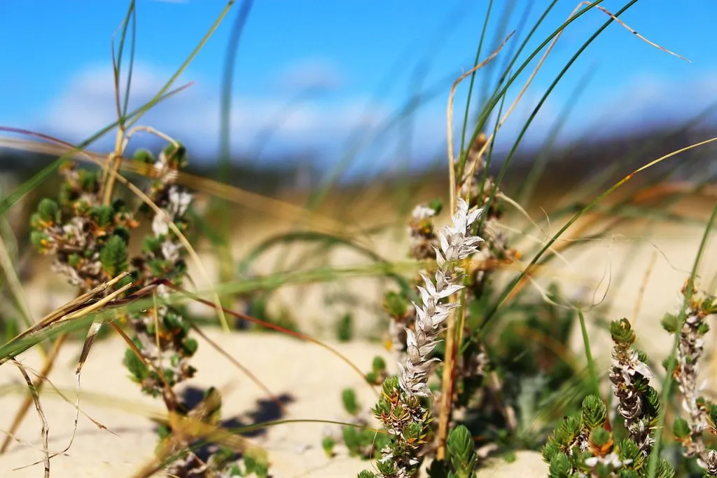 Monte Gordo: ferieguide, strand og ophold