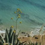 Praia de Porto de Mós