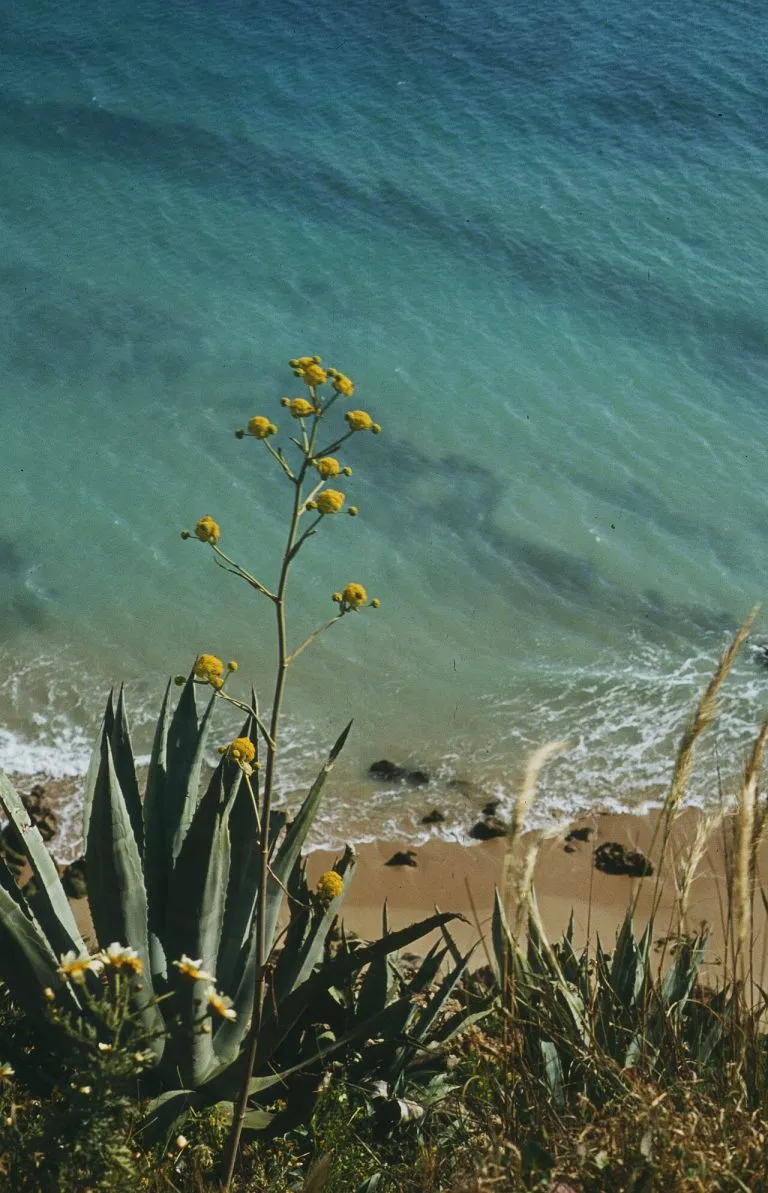 Praia de Porto de Mós