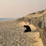 Praia do Ancão (Quinta do Lago)