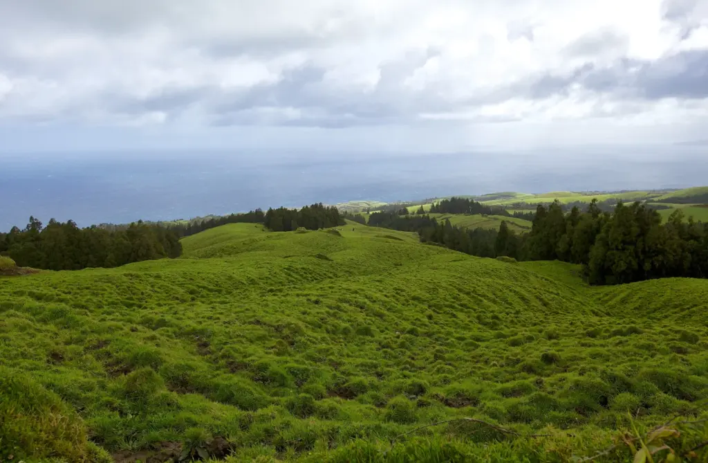 São Miguel